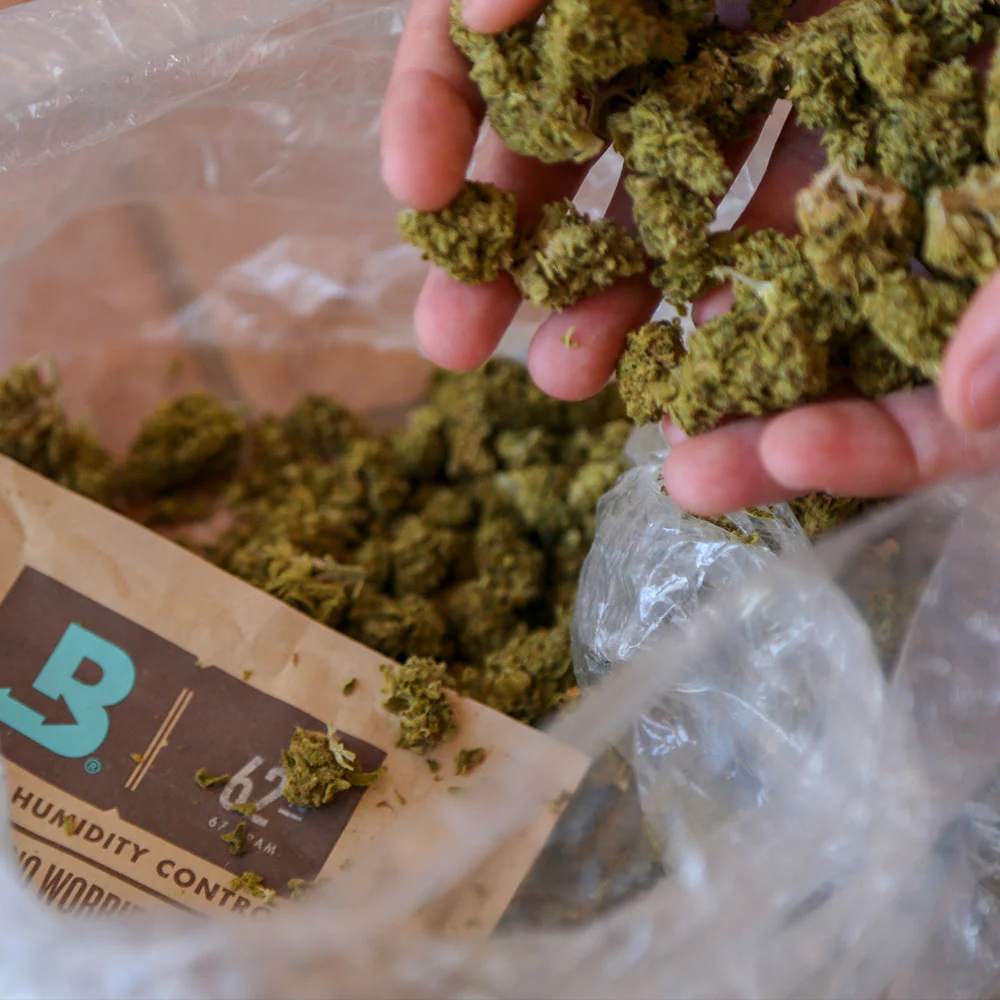 Boveda Size 67 for Cannabis, 62% RH Single (1 Ct) - Image 5