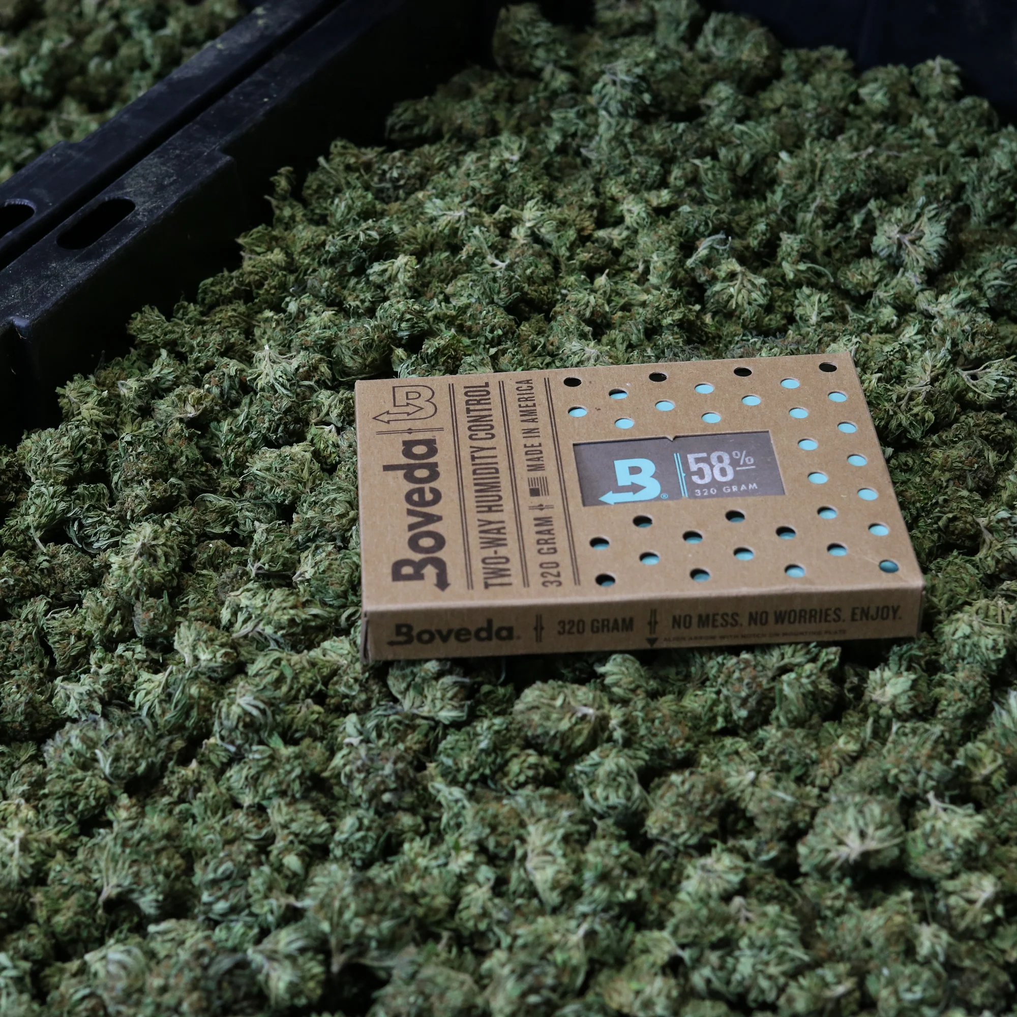 B58 Cannabis KeepFresh - Image 3